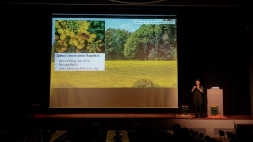 Bienenforum 010