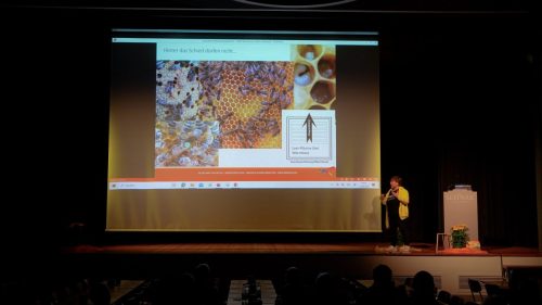 Bienenforum 014